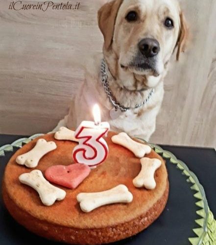 4 Modi per Fare una Torta di Compleanno per il tuo Cagnolino