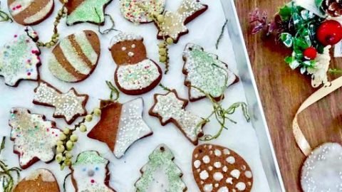 biscotti di natale semplici decorati