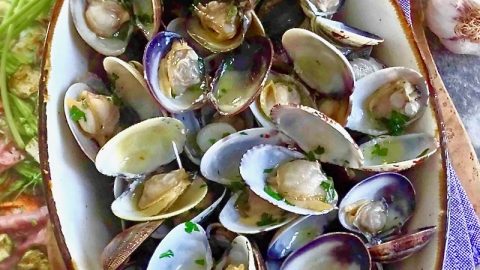 sautè di vongole